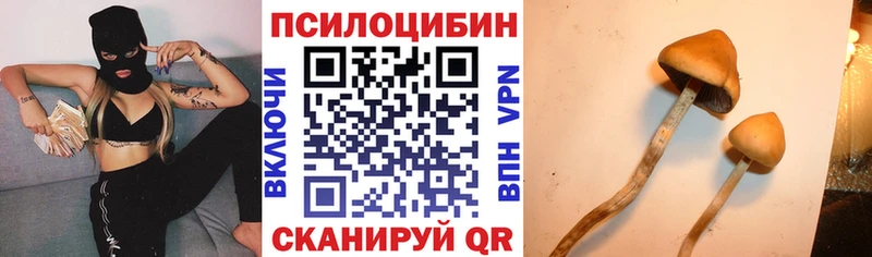 Псилоцибиновые грибы прущие грибы  Купить  Усинск 